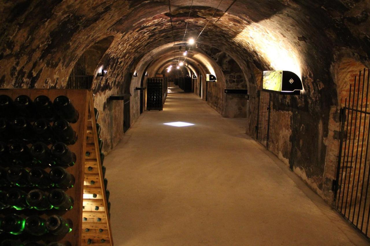 Le Cocon Appartement Proche Epernay Et Maisons De Champagne Ay-Champagne Eksteriør bilde