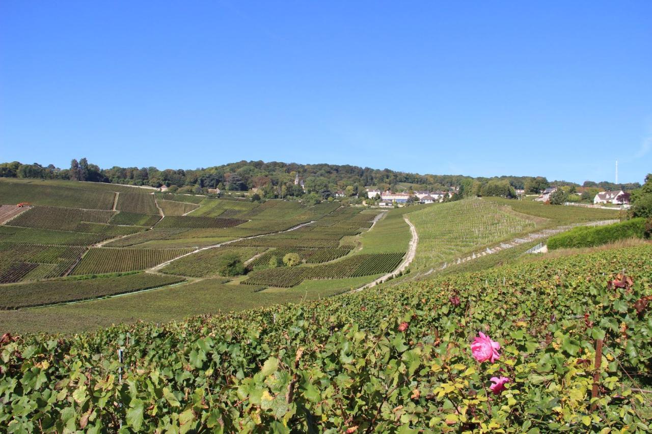 Le Cocon Appartement Proche Epernay Et Maisons De Champagne Ay-Champagne Eksteriør bilde