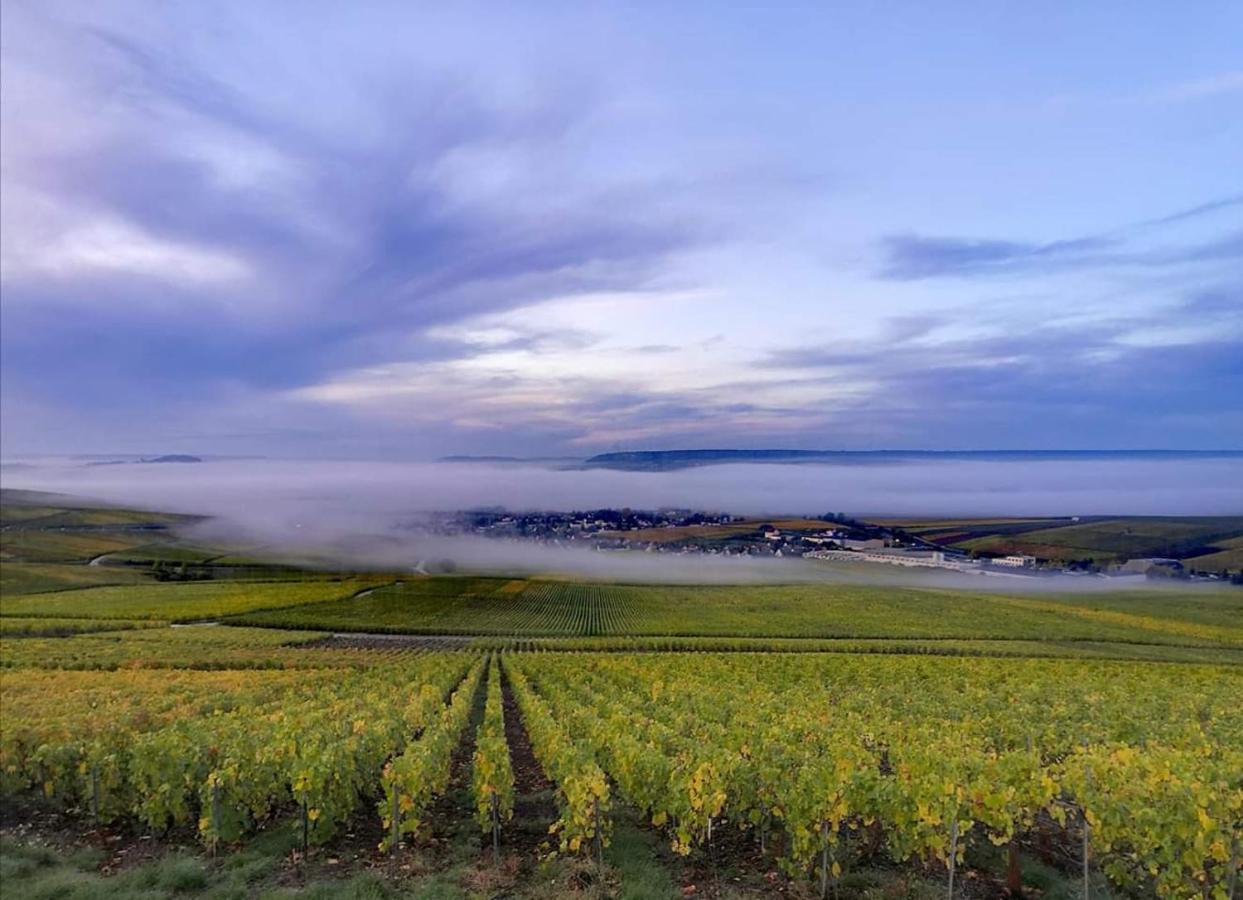 Le Cocon Appartement Proche Epernay Et Maisons De Champagne Ay-Champagne Eksteriør bilde