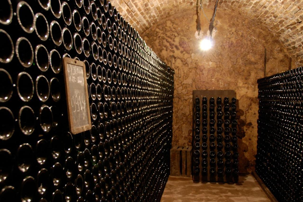 Le Cocon Appartement Proche Epernay Et Maisons De Champagne Ay-Champagne Eksteriør bilde