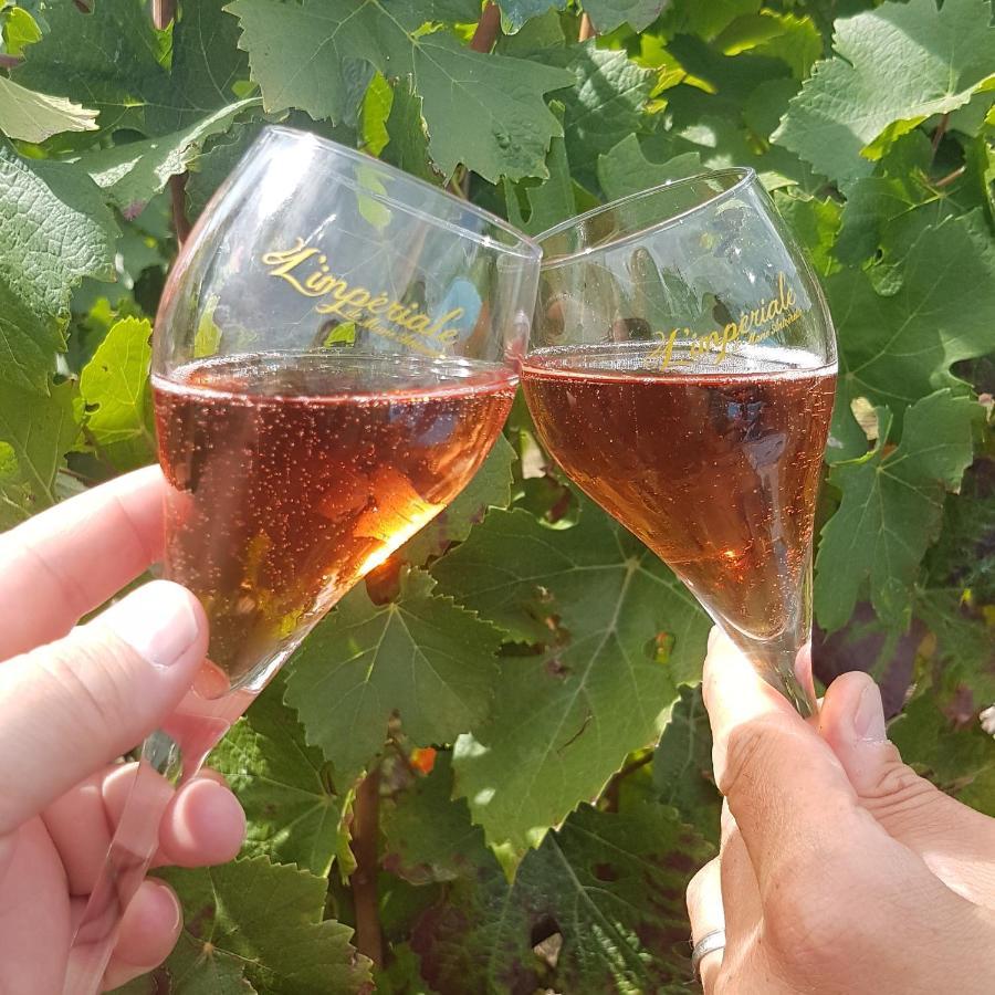 Le Cocon Appartement Proche Epernay Et Maisons De Champagne Ay-Champagne Eksteriør bilde